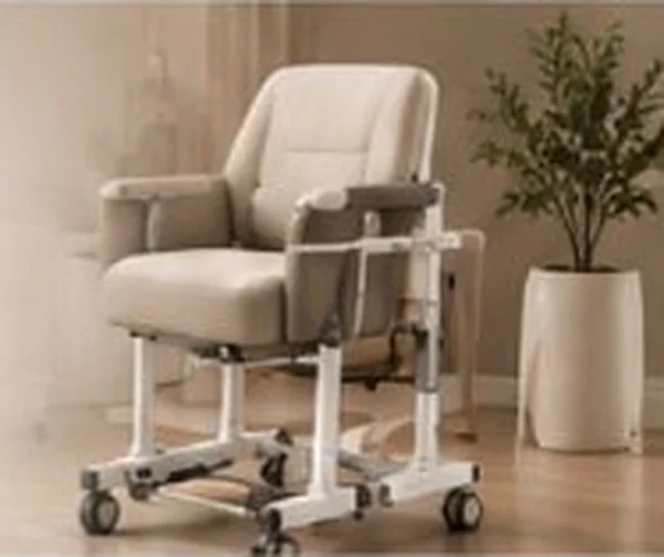 Home independence transfer chair beside a living room plant